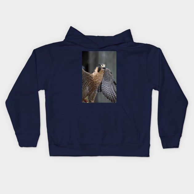 Peregrine Falcon Kids Hoodie by Rob Johnson Photography
